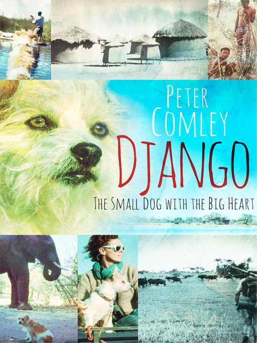 Title details for Django by Peter Comley - Available
